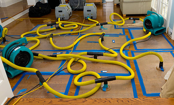 Professional Crawl Space Water Removal technician working in Wausaukee, WI